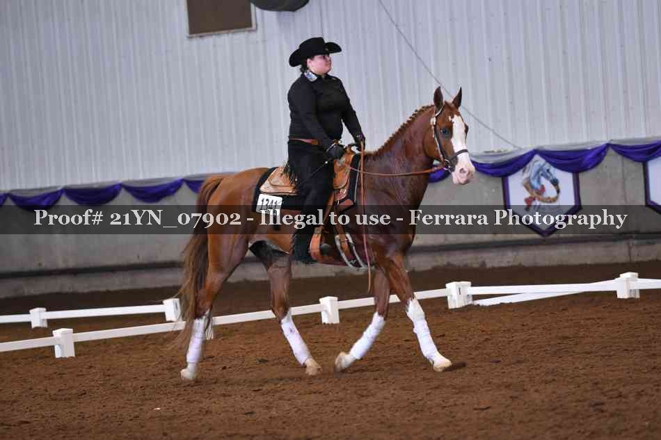 Proof Number 21YN_07902