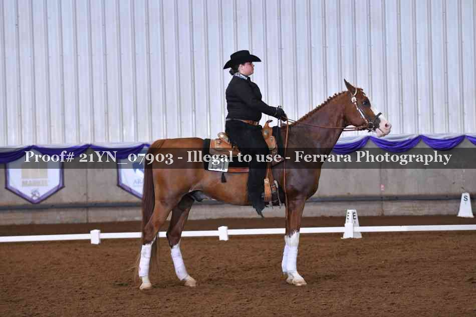 Proof Number 21YN_07903