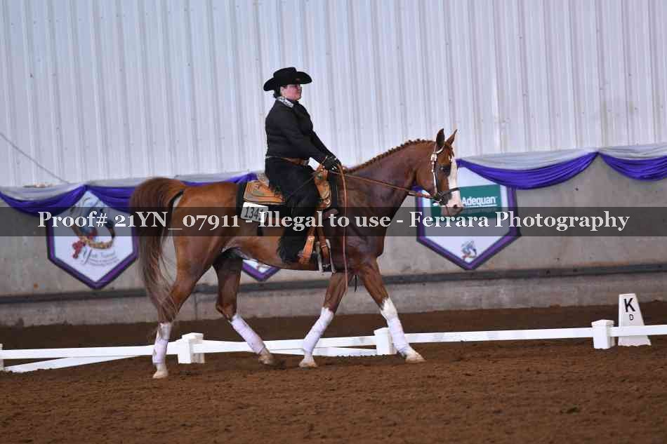 Proof Number 21YN_07911