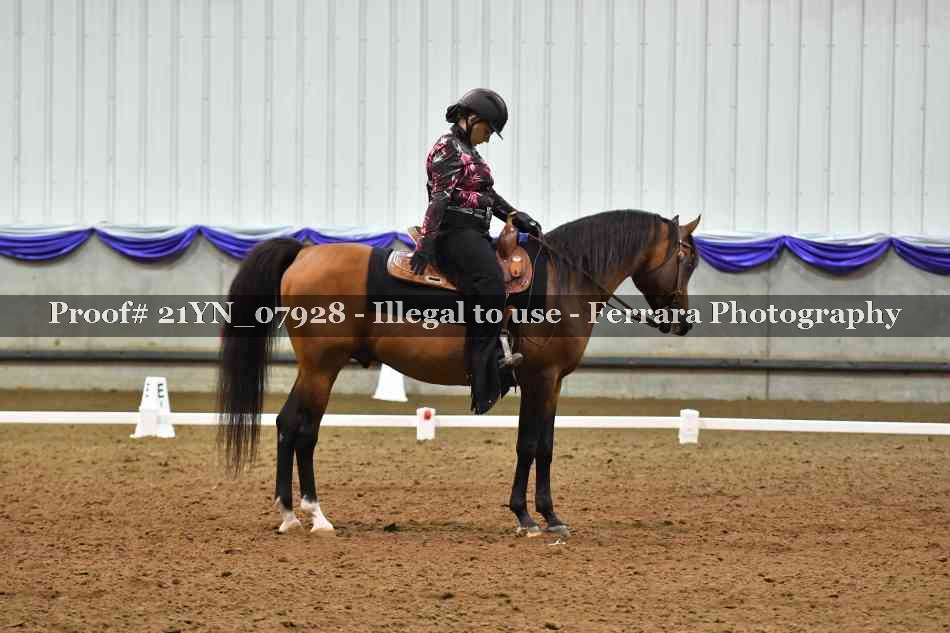 Proof Number 21YN_07928