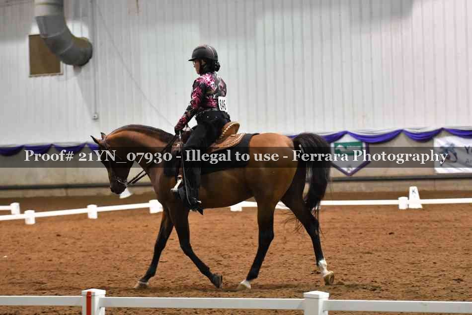 Proof Number 21YN_07930