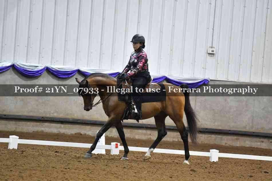 Proof Number 21YN_07933