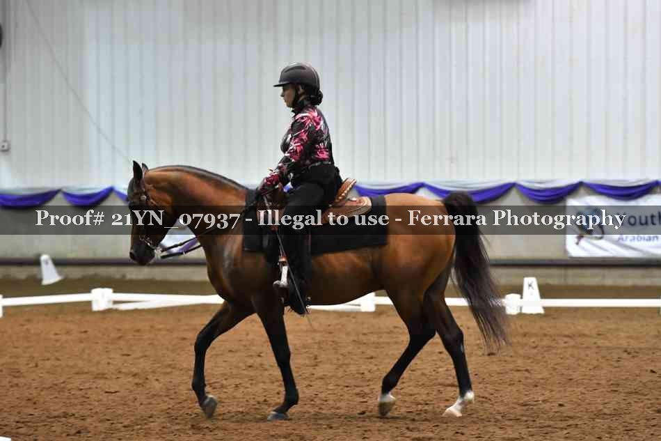 Proof Number 21YN_07937