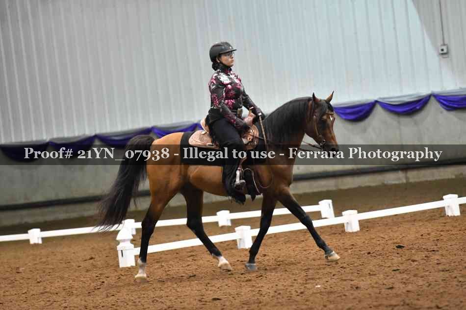 Proof Number 21YN_07938