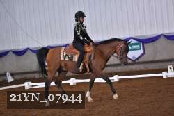 21YN_07944 thumbnail