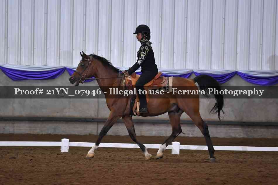 Proof Number 21YN_07946