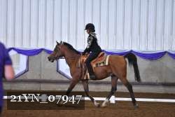 21YN_07947 thumbnail