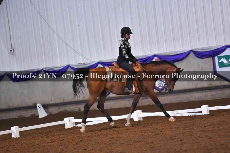 Proof Number 21YN_07952