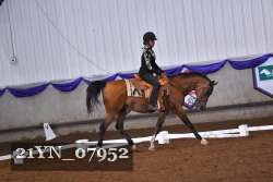 21YN_07952 thumbnail