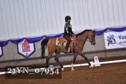 21YN_07954 thumbnail