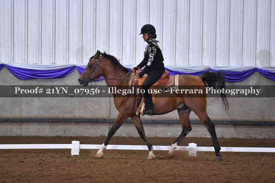 Proof Number 21YN_07956
