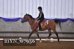 21YN_07956 thumbnail