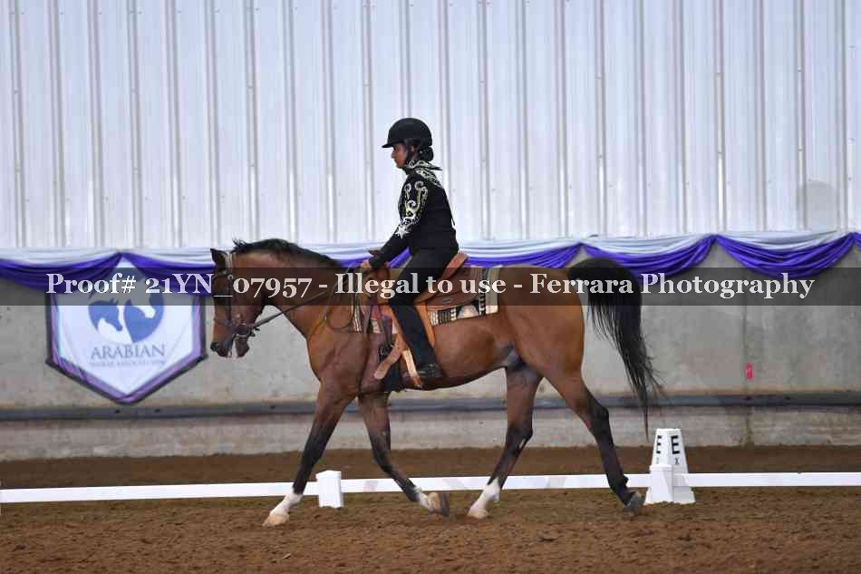 Proof Number 21YN_07957