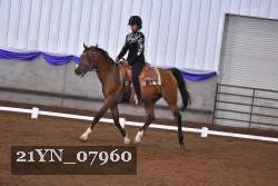 21YN_07960 thumbnail