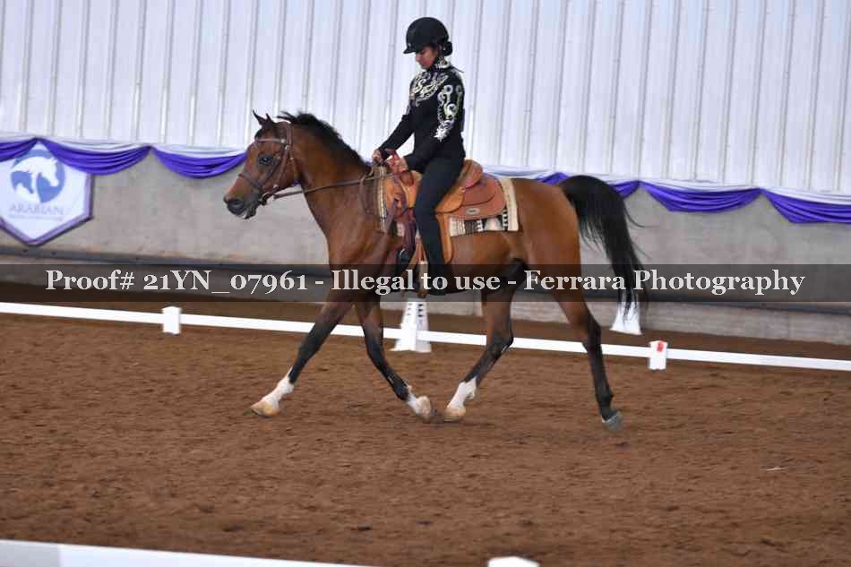 Proof Number 21YN_07961