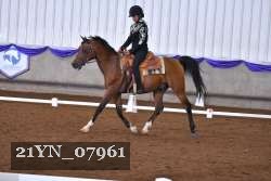 21YN_07961 thumbnail