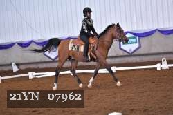 21YN_07962 thumbnail