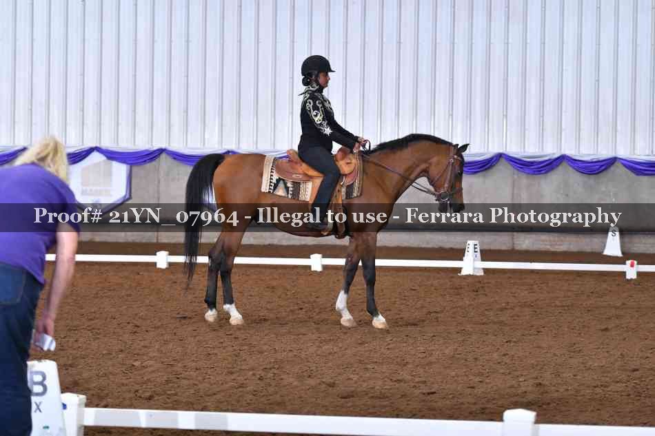 Proof Number 21YN_07964