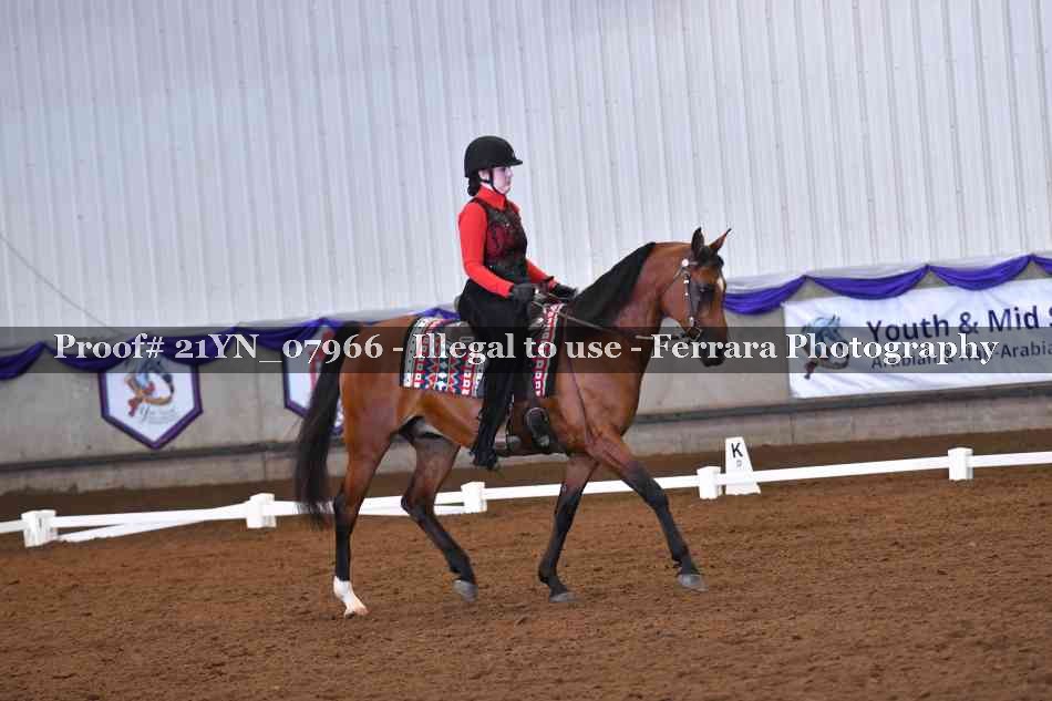 Proof Number 21YN_07966
