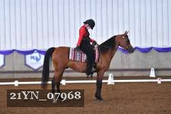 21YN_07968 thumbnail