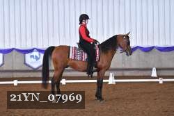 21YN_07969 thumbnail