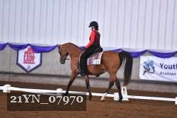 21YN_07970 thumbnail