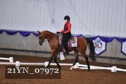 21YN_07972 thumbnail