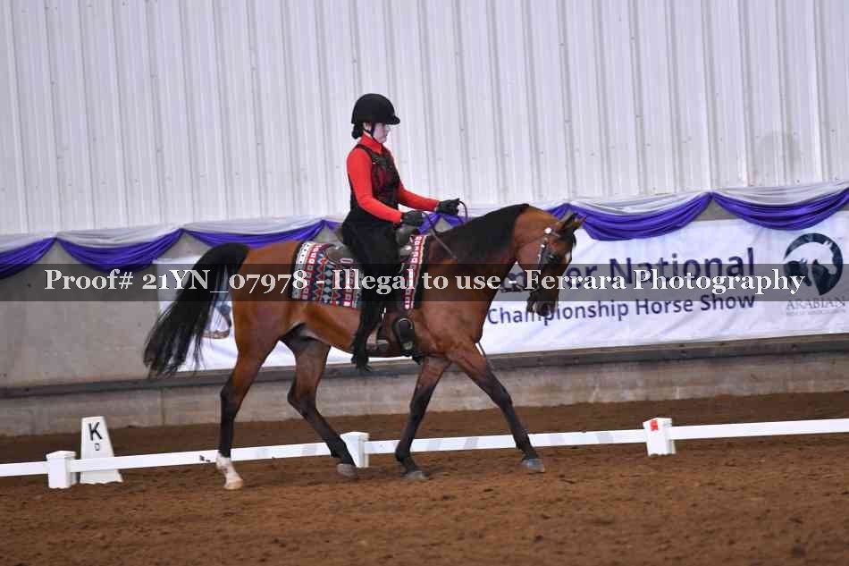 Proof Number 21YN_07978