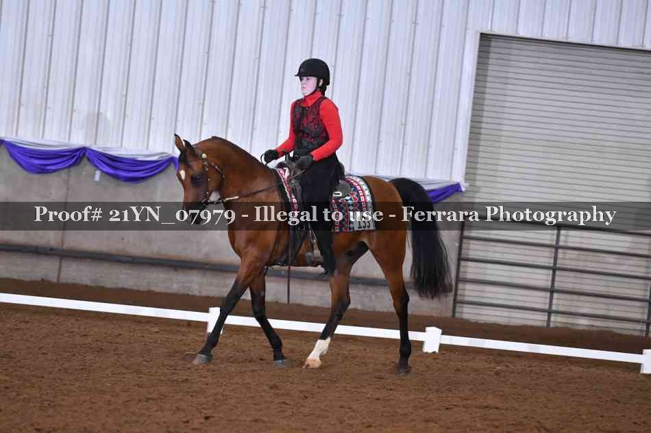 Proof Number 21YN_07979