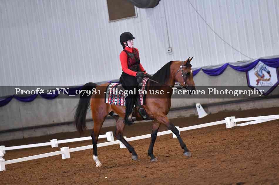 Proof Number 21YN_07981