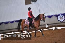 21YN_07981 thumbnail