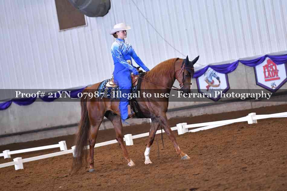 Proof Number 21YN_07987