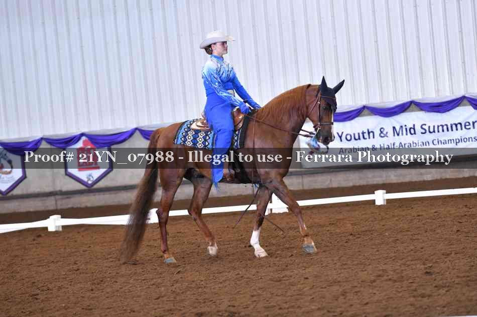 Proof Number 21YN_07988
