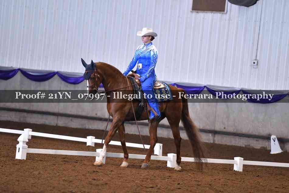 Proof Number 21YN_07997
