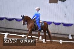21YN_07997 thumbnail