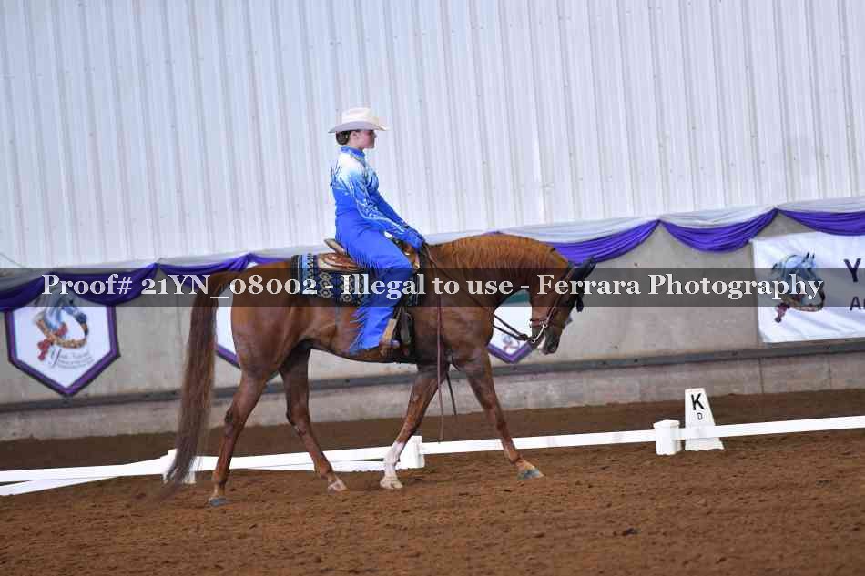 Proof Number 21YN_08002