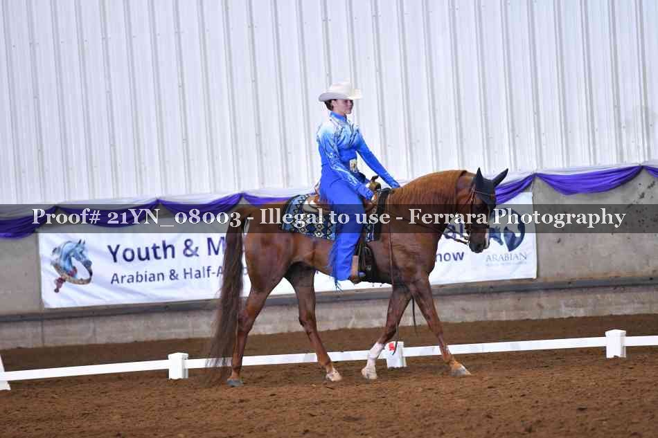 Proof Number 21YN_08003