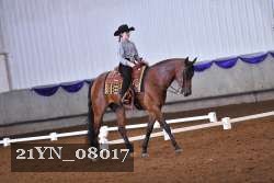 21YN_08017 thumbnail