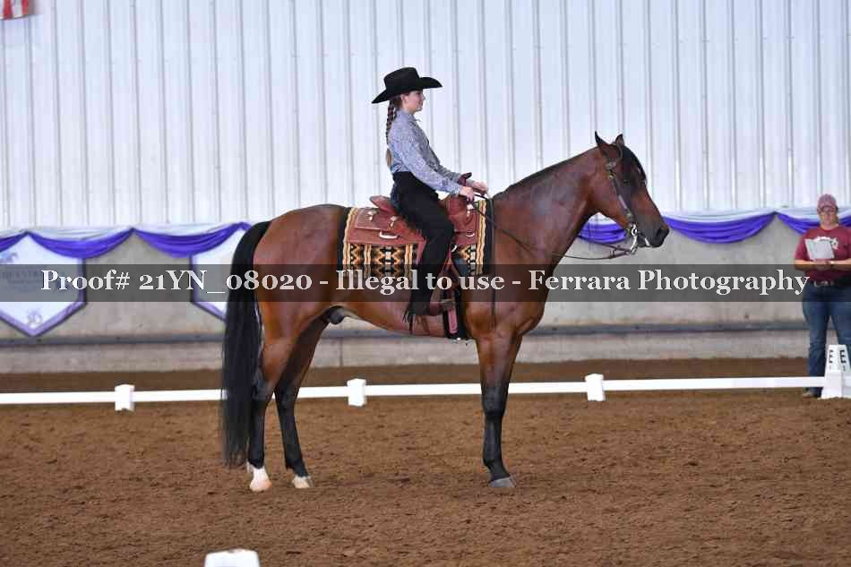 Proof Number 21YN_08020