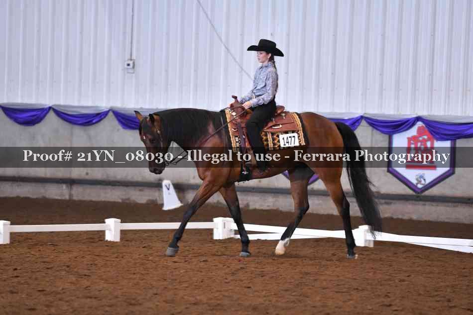 Proof Number 21YN_08030