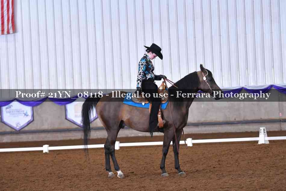 Proof Number 21YN_08118