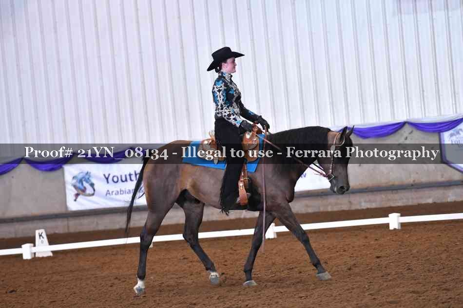 Proof Number 21YN_08134