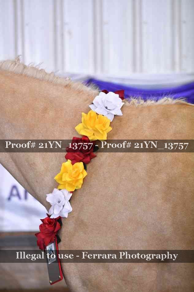 Proof Number 21YN_13757