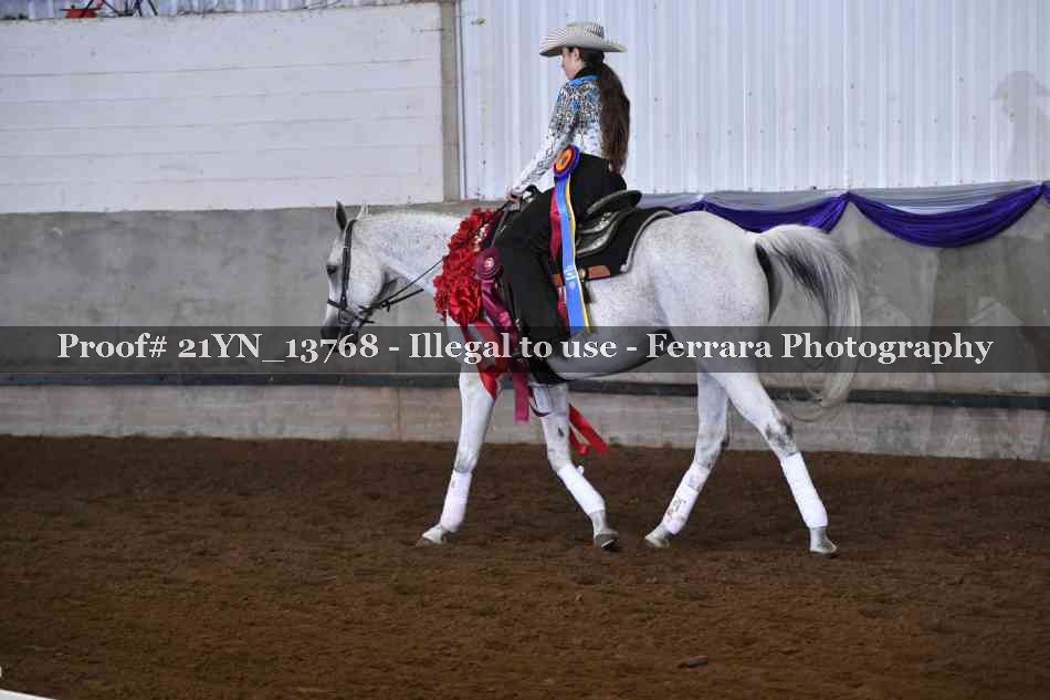 Proof Number 21YN_13768