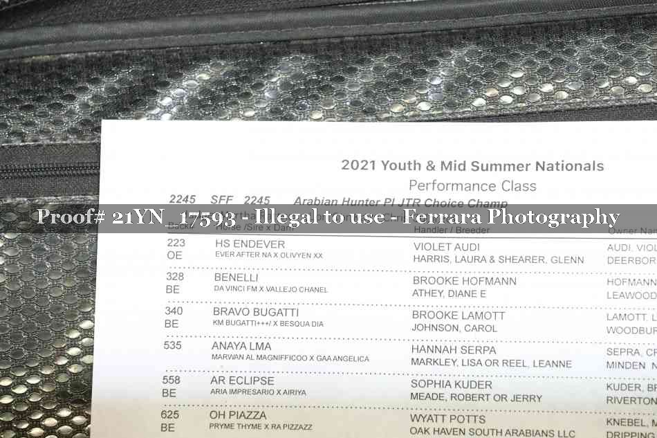 Proof Number 21YN_17593