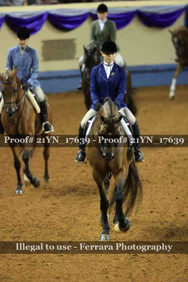 Proof Number 21YN_17639