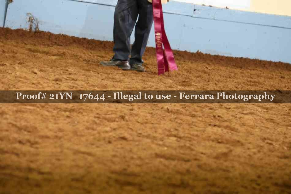 Proof Number 21YN_17644