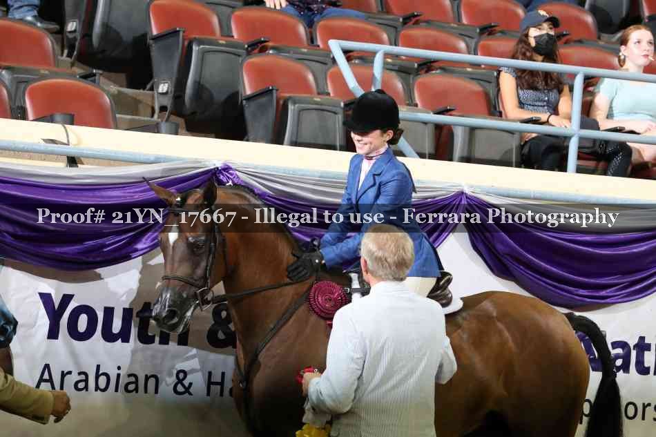 Proof Number 21YN_17667
