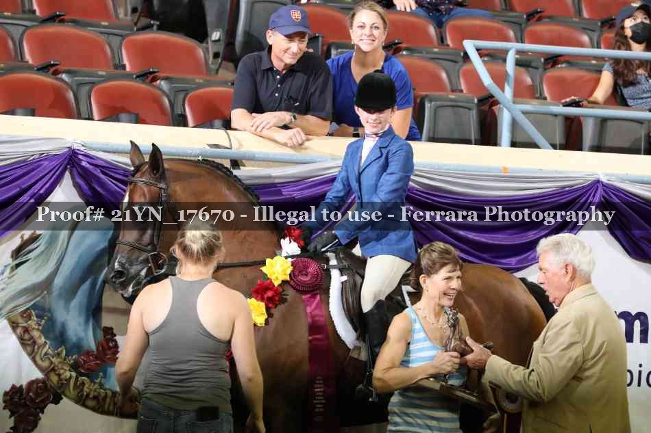 Proof Number 21YN_17670