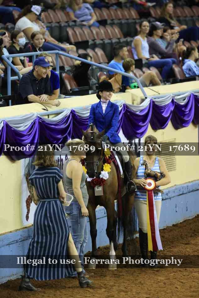 Proof Number 21YN_17689